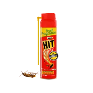 Fresh Fragrance New Hit